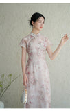 Aarya Spotlight Qipao Cheongsam