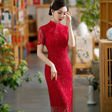 Skyla Splendid Qipao Cheongsam